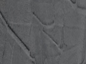 texnotropia agriwn zwwn-05